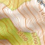 TERRAIN